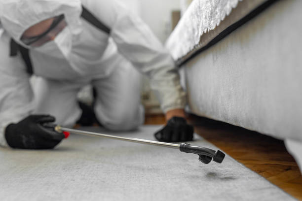 Professional Cockroach Control technician working in Trainer, PA