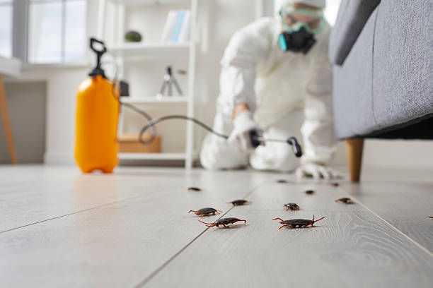 Affordable Cockroach Control solutions in Trainer, PA